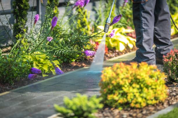 Best Animal Enclosure Cleaning  in Sleepy Hollow, CA